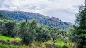 Investing in Paradise: Best Apartments for Sale in Rhodes for High Returns