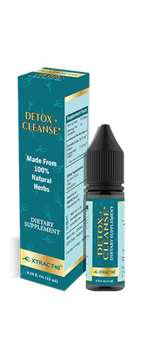 Herbal Supplements For Digestive Health: A Complete Guide To Better Gut Wellness