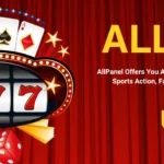 Allpaanel Guide: Everything You Need to Know with Amiribook