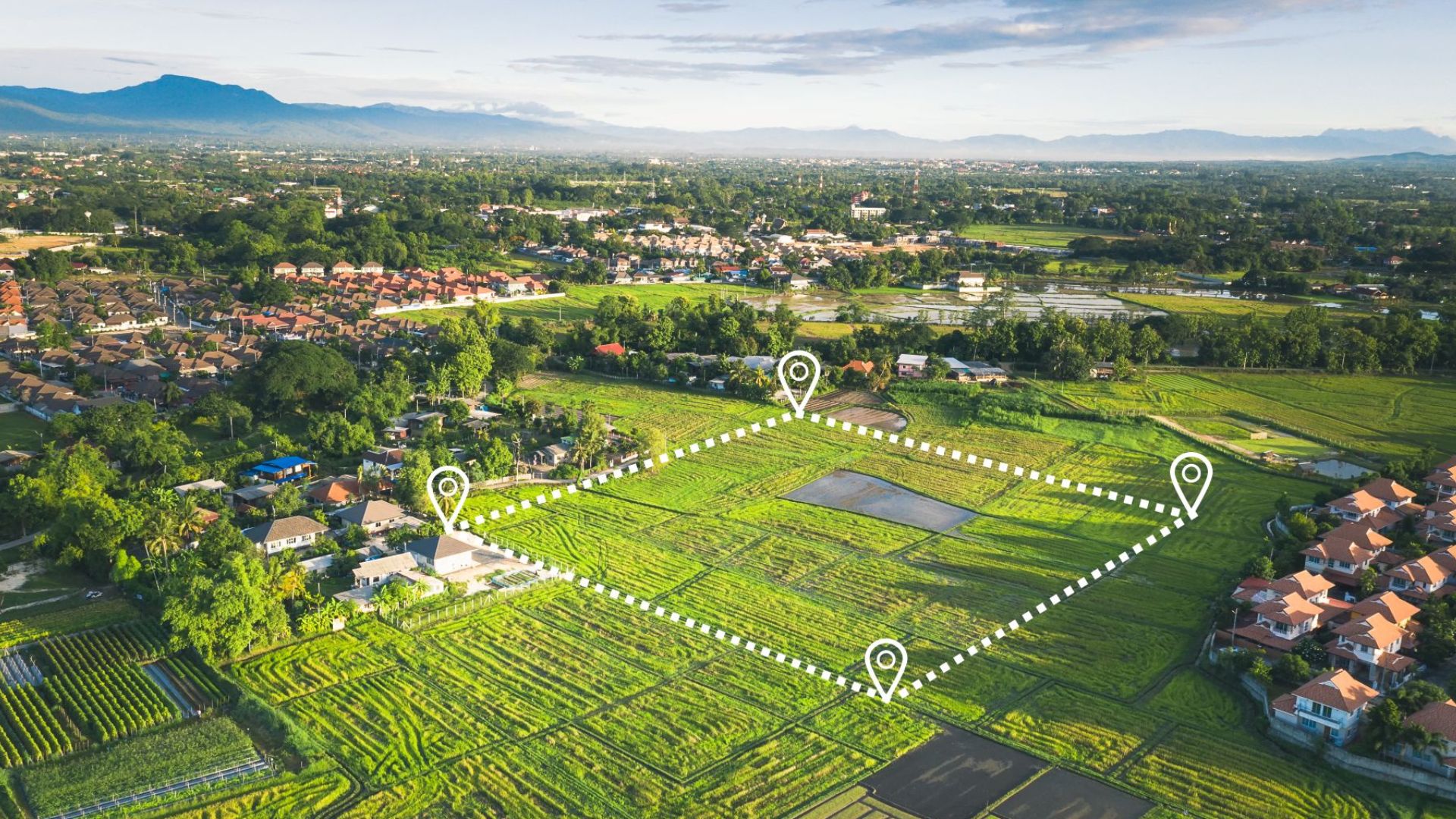 Prestige Pulimamidi Plots