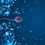 IUI Treatment San Diego: A Complete Guide To Fertility Success