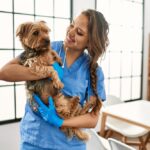Bloat Surgery in Dogs Symptoms and Treatment Overview