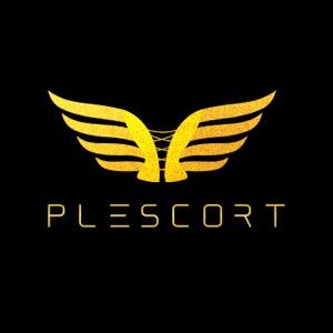 Was eine gute Escort Agentur Frankfurt wirklich ausmacht