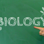 Score 95+ in Boards: Why Biology Tuition for Class 12 Gurgaon is a Game Changer