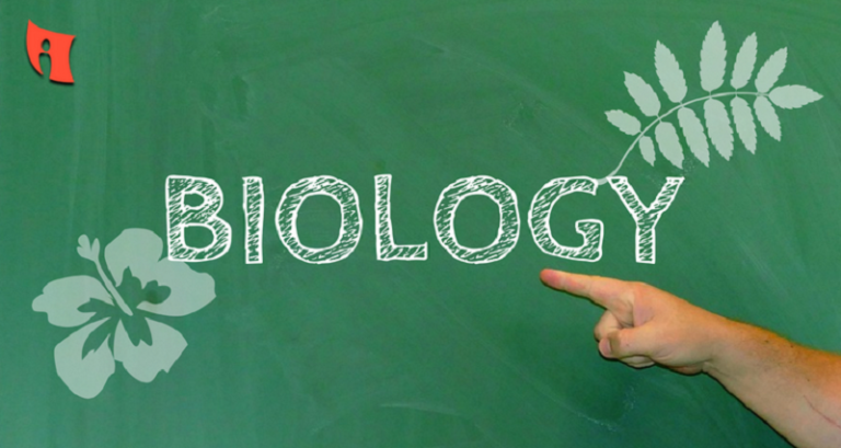 Score 95+ in Boards: Why Biology Tuition for Class 12 Gurgaon is a Game Changer