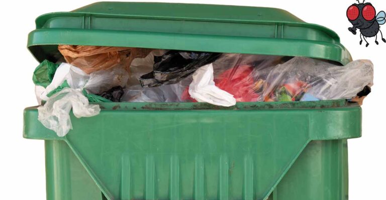Professional Bin Cleaning Services for a Cleaner, Healthier Home