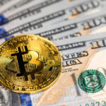 How Can White Label Crypto Exchange Development Help You Launch Before Crypto Demand Peaks Again?