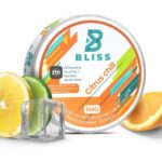 A Complete Guide to Bliss Nicotine Pouches: What You Need to Know