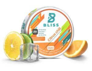 A Complete Guide to Bliss Nicotine Pouches: What You Need to Know