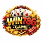 WIN786 Game Login – Complete Login Guide For Pakistani Users