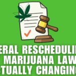 Understanding Ohio Medical Marijuana Laws and Patient Rights