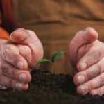 What Environmental Policies Help Combat Climate Change?