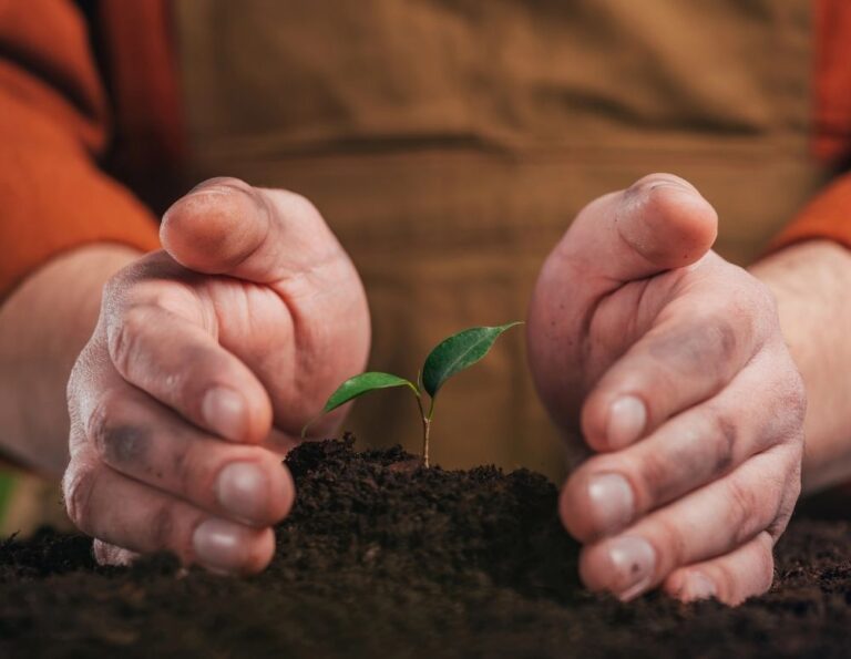 What Environmental Policies Help Combat Climate Change?