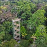When Is the Best Time to Visit a Panama Nature Resort?