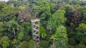When Is the Best Time to Visit a Panama Nature Resort?