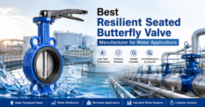 Best Resilient Seated Butterfly Valve Manufacturer for Water Applications