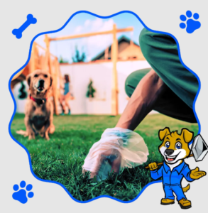 Professional Dog Poop Cleanup Services for a Cleaner and Healthier Yard