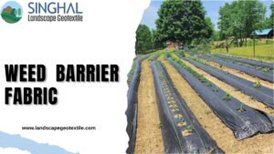 Reliable Weed Barrier Fabric For Outdoor Growing Areas