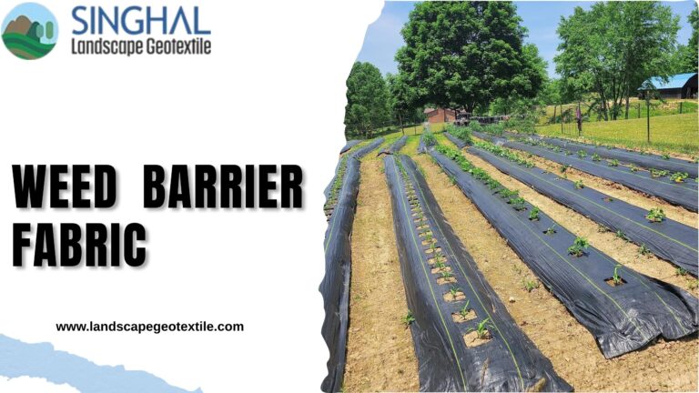Reliable Weed Barrier Fabric For Outdoor Growing Areas