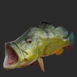 Premium Fish Mounts for Sale: Realistic Replicas Online