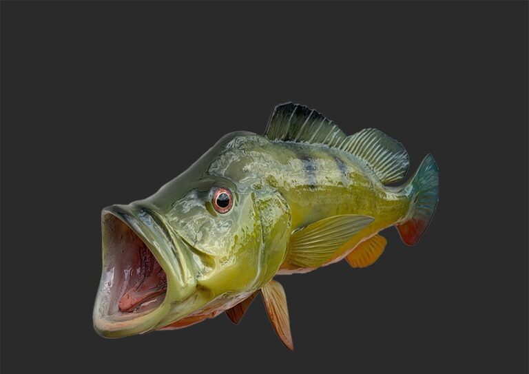 Premium Fish Mounts for Sale: Realistic Replicas Online