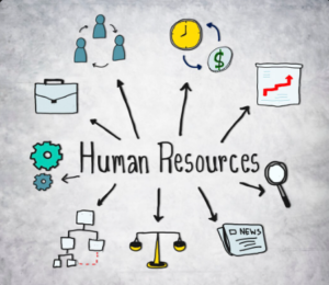 Best AI-Powered HR Tools to Streamline Human Resource Management